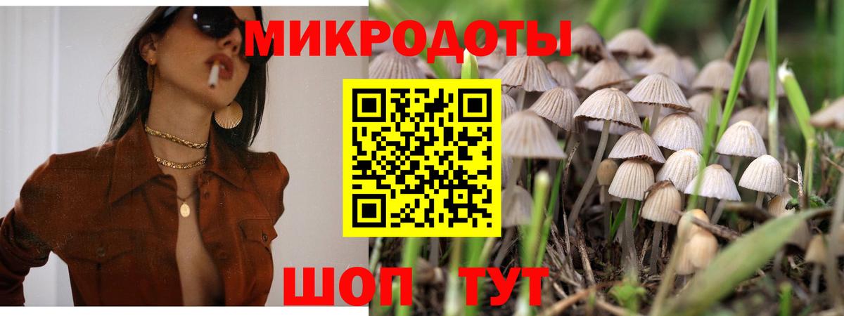 Волхов  Галлюциногенные грибы мицелий  Псилоцибиновые грибы MAGIC MUSHROOMS  хочу наркоту  Вход с VPN 